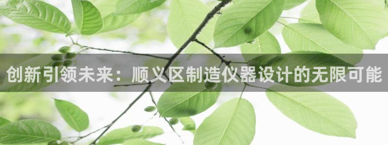 云顶集团简介概况：创新引领未来：顺义区制造仪器设计的无限可能