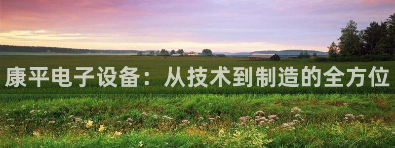 云顶国际服叫啥