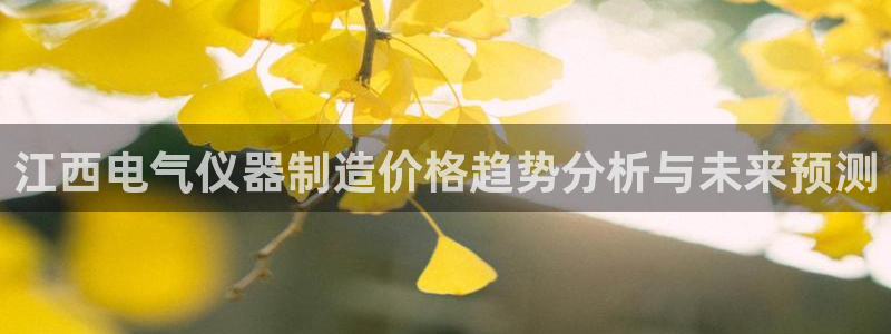 云顶国际足球app下载安卓：江西电气仪器制造价格趋势分析与未