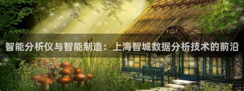 云顶国际服在哪下载：智能分析仪与智能制造：上海智城数据分析技