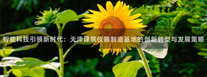 太原市云顶国际大酒店：智能科技引领新时代：天津建筑仪器制造基