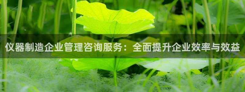 云顶国际电子注册平台是什么：仪器制造企业管理咨询服务：全面提