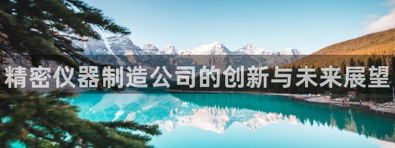 云顶国际取款多久到账户：精密仪器制造公司的创新与未来展望