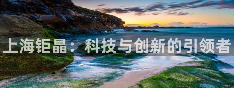 临沂云顶国际：上海钜晶：科技与创新的引领者