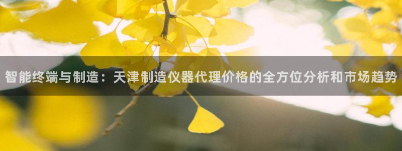 手游云顶国际服更新：智能终端与制造：天津制造仪器代理价格的全