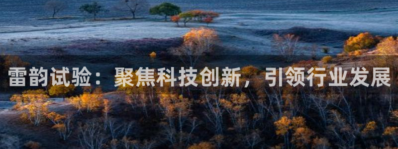 云顶集团公司官网：雷韵试验：聚焦科技创新，引领行业发展