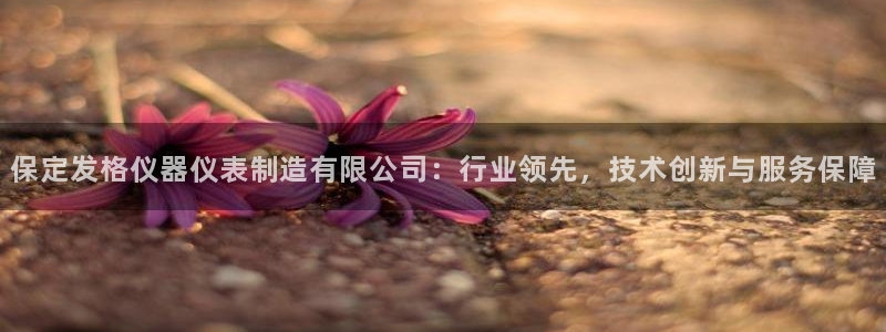 云顶国际app官方下载安装最新版：保定发格仪器仪表制造有限公