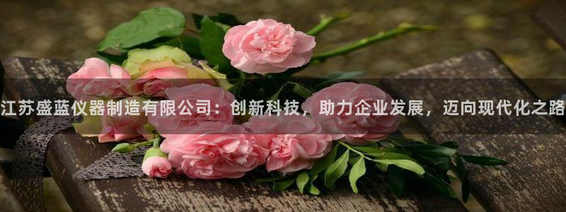 手游云顶国际服下载：江苏盛蓝仪器制造有限公司：创新科技，助力