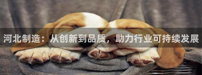 云顶国际提现失败怎么办：河北制造：从创新到品质，助力行业可持