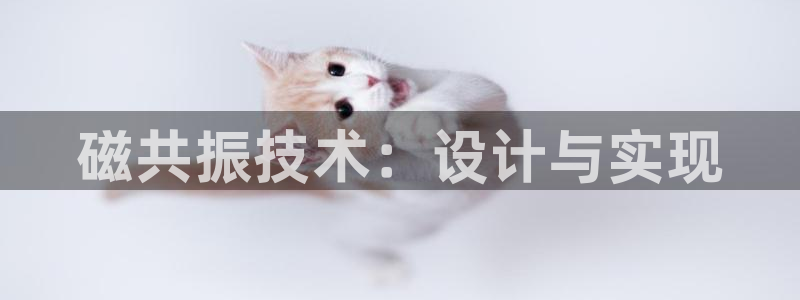 云顶集团官网电话：磁共振技术：设计与实现