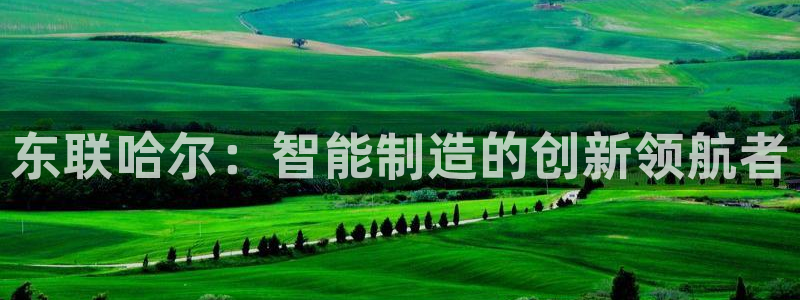 云顶国际是个什么平台：东联哈尔：智能制造的创新领航者