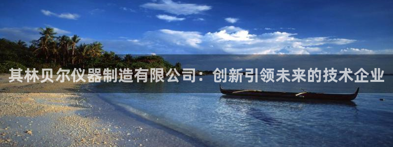 登录云顶集团怎么登录：其林贝尔仪器制造有限公司：创新引领未来