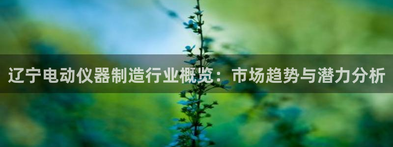 云顶国际高中d s e班学费多少：辽宁电动仪器制造行业概览：