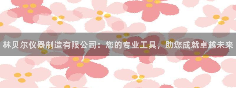 云顶国际平台是真的吗：林贝尔仪器制造有限公司：您的专业工具，