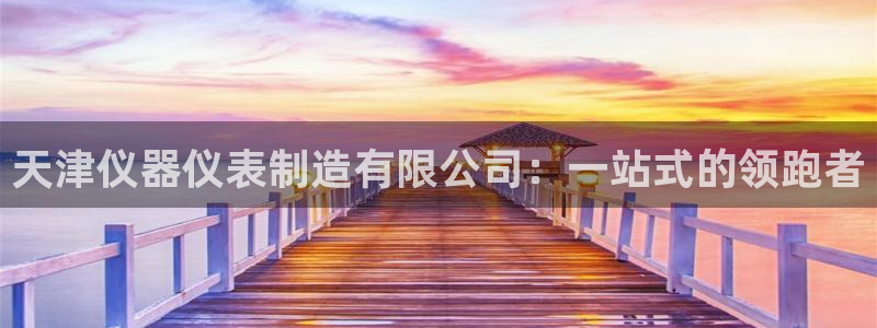 云顶集团是哪个国家的：天津仪器仪表制造有限公司：一站式的领跑