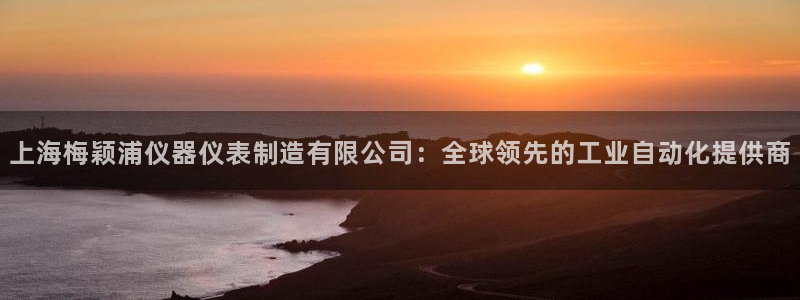 云顶集团网站安全吗：上海梅颖浦仪器仪表制造有限公司：全球领先