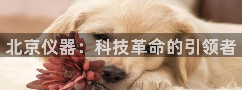 云顶国际网页版官网：北京仪器：科技革命的引领者