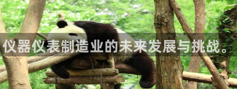 云顶国际服怎么更新：仪器仪表制造业的未来发展与挑战。