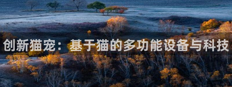 云顶国际公馆物业电话：创新猫宠：基于猫的多功能设备与科技