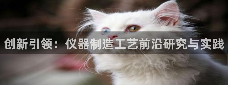 云顶国际提现不到账什么原因：创新引领：仪器制造工艺前沿研究与