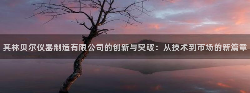 云顶国际服s6：其林贝尔仪器制造有限公司的创新与突破：从技术