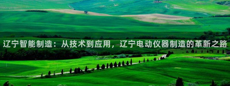 4188云顶集团下载：辽宁智能制造：从技术到应用，辽宁电动仪