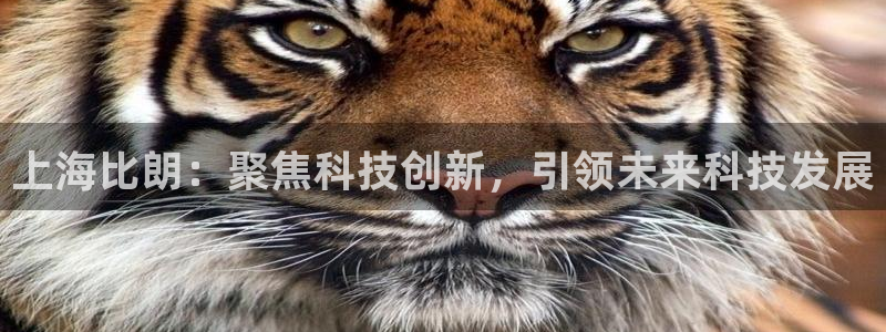 云顶28官网下载：上海比朗：聚焦科技创新，引领未来科技发展