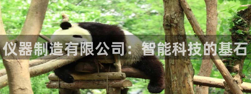 云顶集团welcome官网：仪器制造有限公司：智能科技的基石