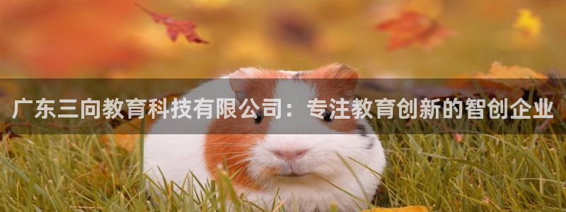 成山路800号(云顶国际商业广场a座101)电话：广东三向教