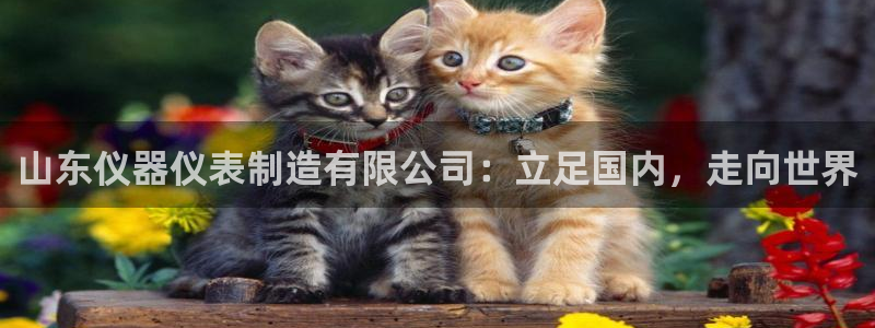 云顶国际游戏平台排行榜：山东仪器仪表制造有限公司：立足国内，