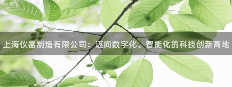 云顶国际服修改不了传说装备：上海仪器制造有限公司：迈向数字化