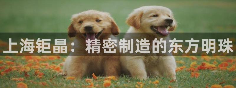 云顶国际大酒店有外卖吗：上海钜晶：精密制造的东方明珠