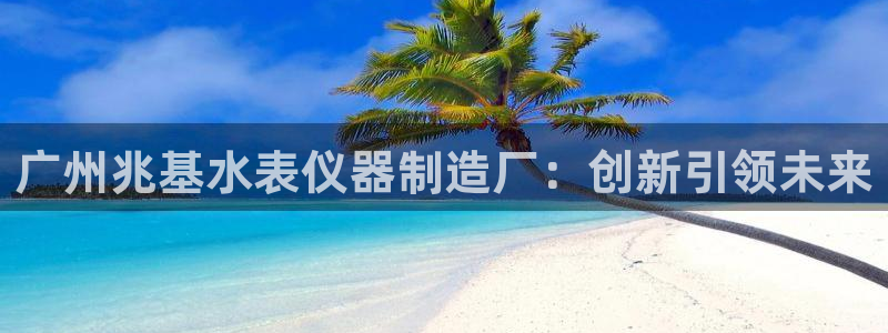 云顶国际黑不黑：广州兆基水表仪器制造厂：创新引领未来