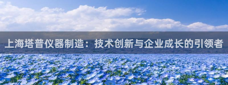 云顶国际版下载：上海塔普仪器制造：技术创新与企业成长的引领者