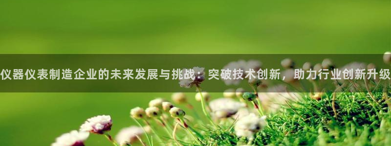 云顶集团林东简介：仪器仪表制造企业的未来发展与挑战：突破技术