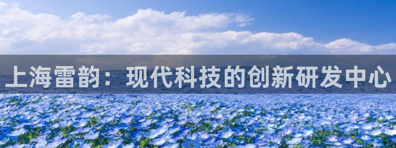 云顶国际在哪里：上海雷韵：现代科技的创新研发中心