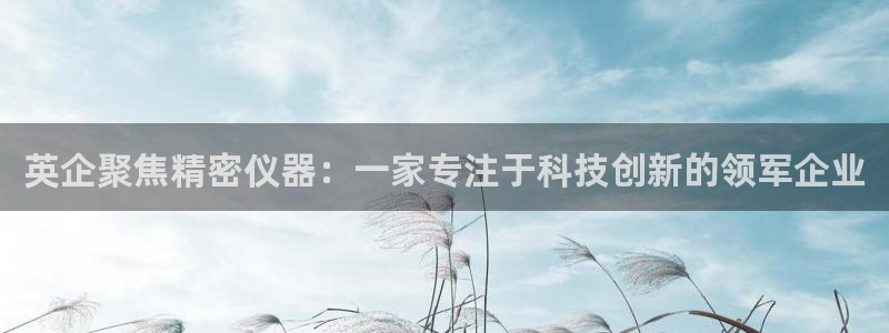 云顶国际广场附近银行：英企聚焦精密仪器：一家专注于科技创新的