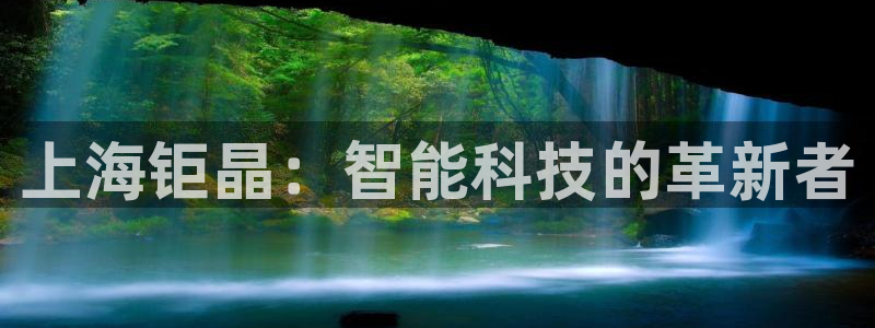云顶手游国际服什么时候更新：上海钜晶：智能科技的革新者