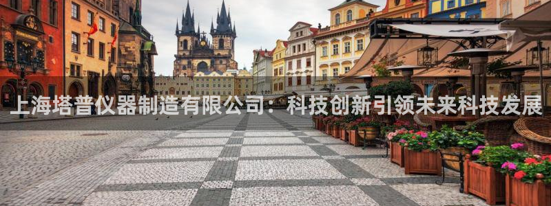 云顶集团账号怎么注册：上海塔普仪器制造有限公司：科技创新引领