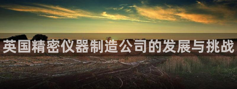 云顶国际俱乐部多少钱一个小时：英国精密仪器制造公司的发展与挑
