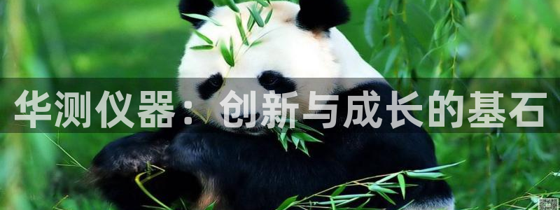 云顶国际在线购彩app：华测仪器：创新与成长的基石