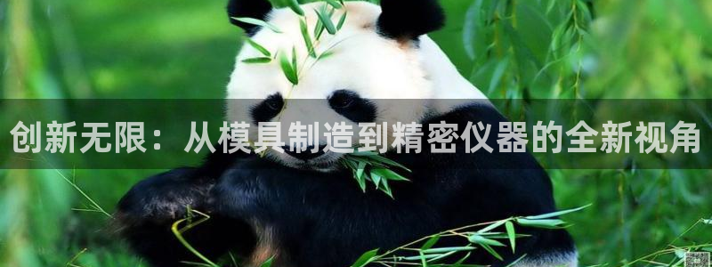 云顶国际游戏网址：创新无限：从模具制造到精密仪器的全新视角