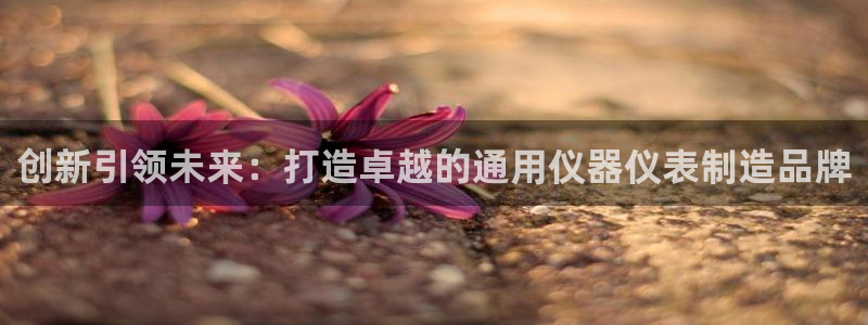 yd2333云顶电子游戏：创新引领未来：打造卓越的通用仪器仪