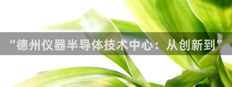 云顶国际服名字不可用：“德州仪器半导体技术中心：从创新到”