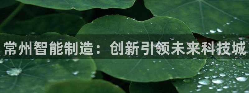 云顶国际被黑：常州智能制造：创新引领未来科技城