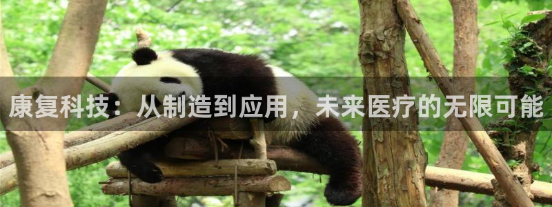 云顶国际会议中心：康复科技：从制造到应用，未来医疗的无限可能