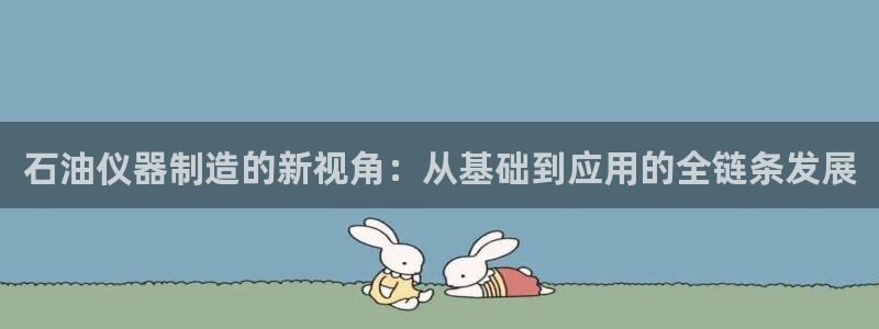 云顶国际服s11什么时候上线：石油仪器制造的新视角：从基础到