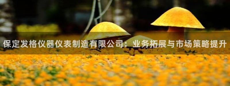 云顶国际真的能取出来吗?：保定发格仪器仪表制造有限公司：业务