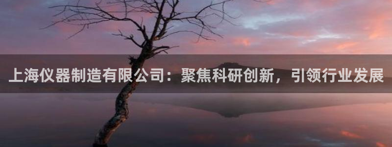 云顶国际网上平台：上海仪器制造有限公司：聚焦科研创新，引领行