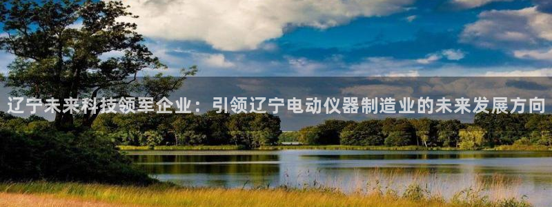 云顶集团总裁：辽宁未来科技领军企业：引领辽宁电动仪器制造业的